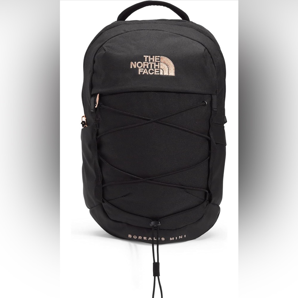 The North Face 10L Mini Borealis Laptop Backpack